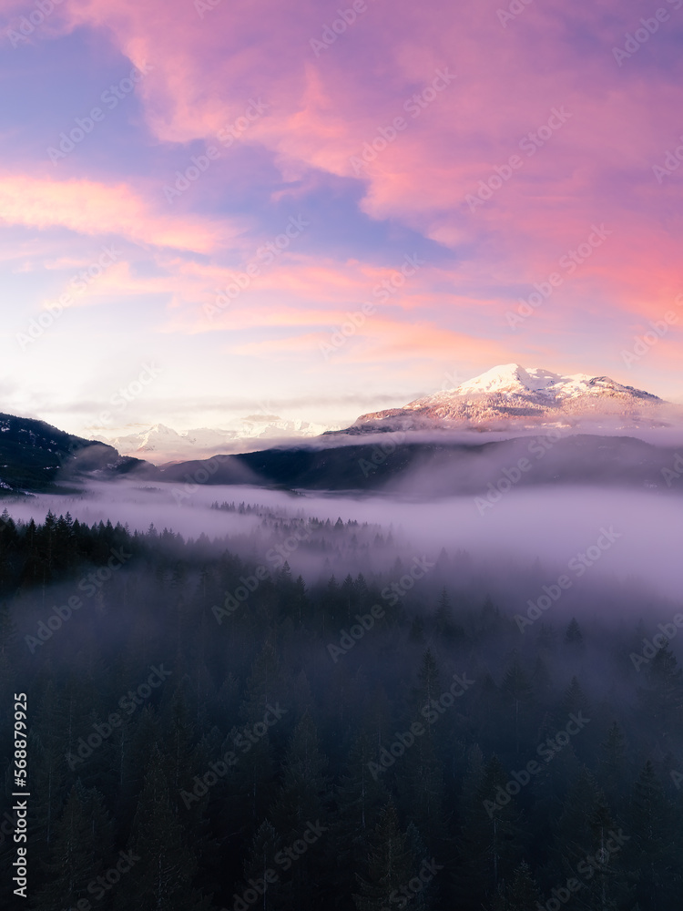 Green Trees in Forest with Fog and Mountains. Sunrise Sky Art Render. Canadian Nature Landscape Background. Near Squamish, British Columbia, Canada.