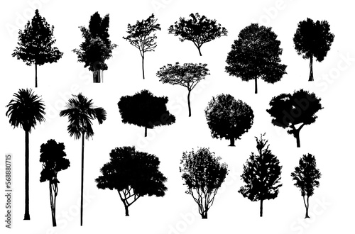 Fotobehang Minimal style cad tree line drawing, Side view, set of graphics trees elements outline symbol for architecture and landscape design drawing