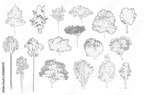 Minimal style cad tree line drawing, Side view, set of graphics trees elements outline symbol for architecture and landscape design drawing. Vector illustration in stroke fill in white. Tropical
