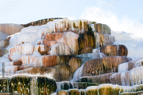 Mammoth hot spring Yellostone National Park