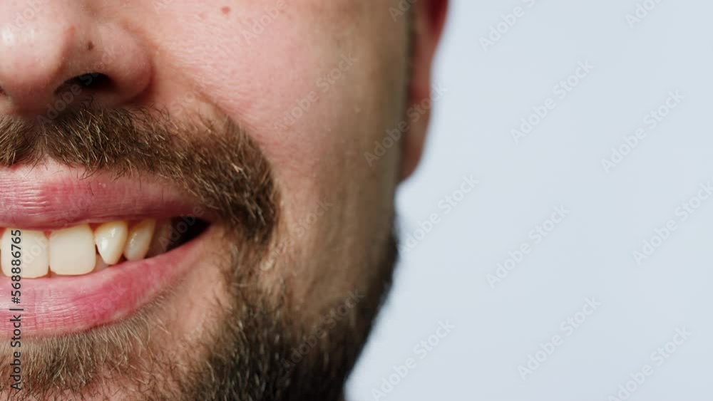 Smiling man portrait, Close up head shot portrait of middle aged bearded male with healthy white toothy smile looking at camera. Smiling man portrait, Close up head shot portrait of middle aged bearded male with healthy white toothy smile looking at camera.