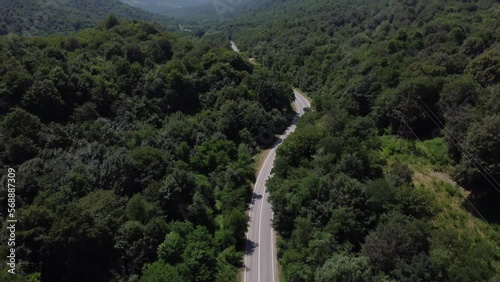 BLUE CAR DRIVES THROUGH THE FORESTS PERFECT ROUTE