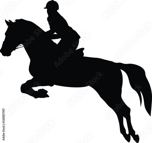 equestrian sport woman rider horse jumping competition 
