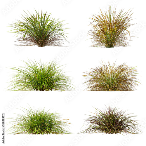 Tela Cut out nature grass montage 3d illustration png file