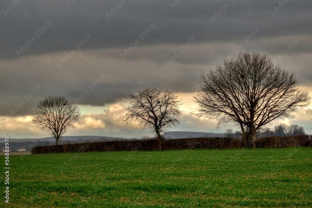 Fototapeta premium Paysage campagnard.