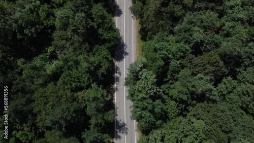 BLUE CAR DRIVES THROUGH THE FORESTS PERFECT ROUTE