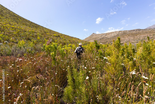 South Africa, Barrydale, Senior male hiker walking among tall plants photo