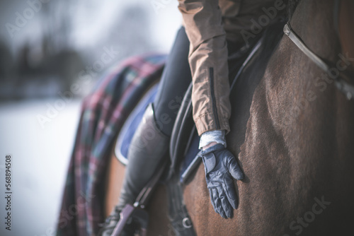 Rider Stroking a Horse During Winter Horseback Riding