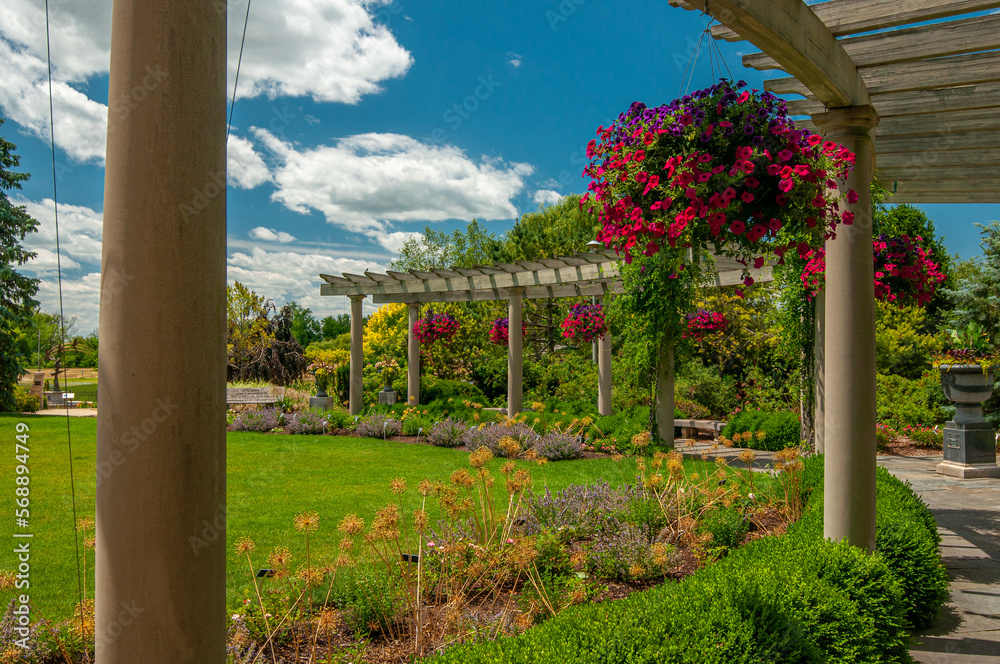Fototapeta premium Lush Summer Garden