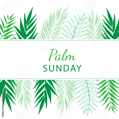 Palm Sunday - greeting banner template for Christian holiday, with palm tree leaves background.