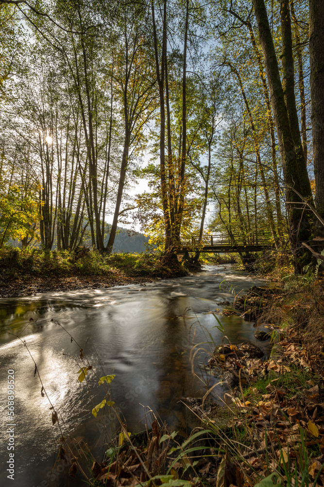 Obraz premium Die Schondra im Naturschutzgebiet Unteres Schondratal, zwischen der Gemeinde Heiligkreuz und Gräfendorf, Unterfranken, Franken, Bayern, Deutschland