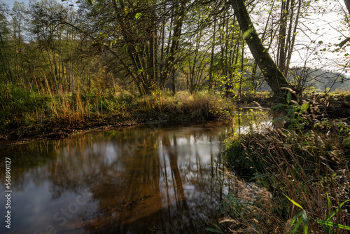 Die Schondra im Naturschutzgebiet Unteres Schondratal, zwischen der Gemeinde Heiligkreuz und Gräfendorf, Unterfranken, Franken, Bayern, Deutschland