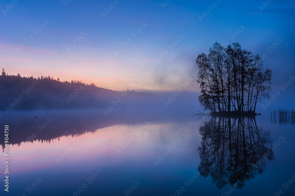 Trees on island on still and misty lake