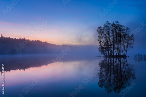 Trees on island on still and misty lake