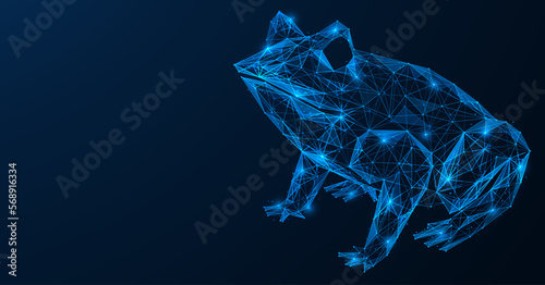Frog. Futuristic low-poly design of interconnected lines and dots. Blue background.
