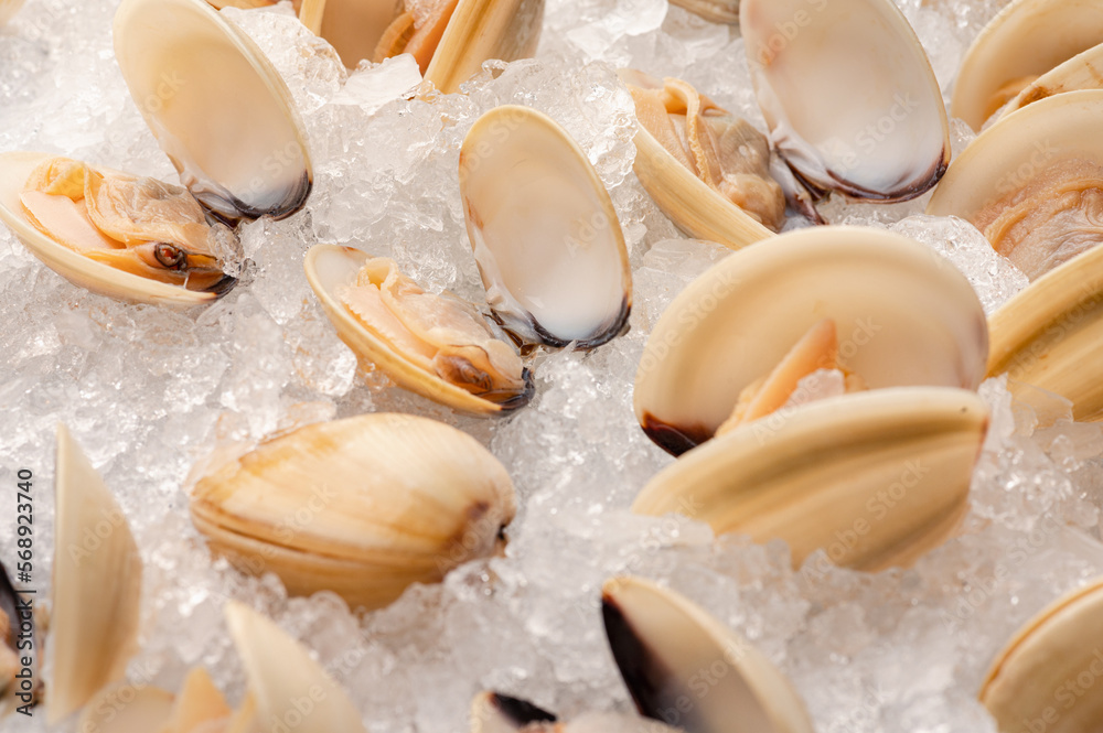 
fresh clams on ice