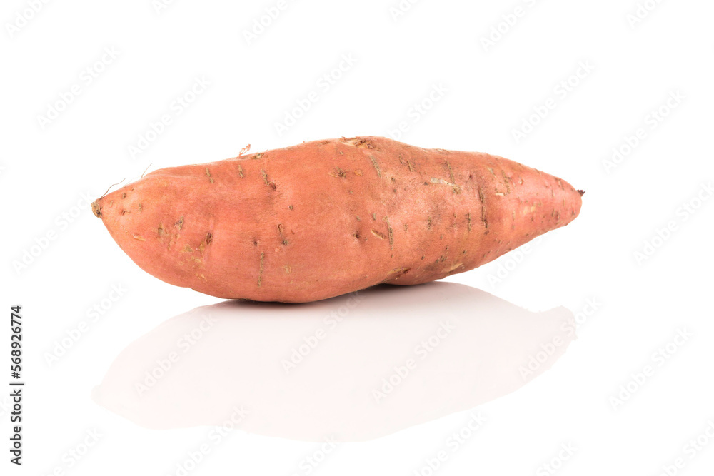 Sweet potato on the white background Sweet potato on the white background