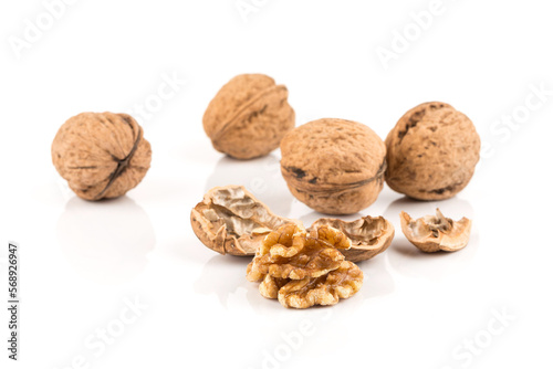 Walnut nut on white © romantsubin