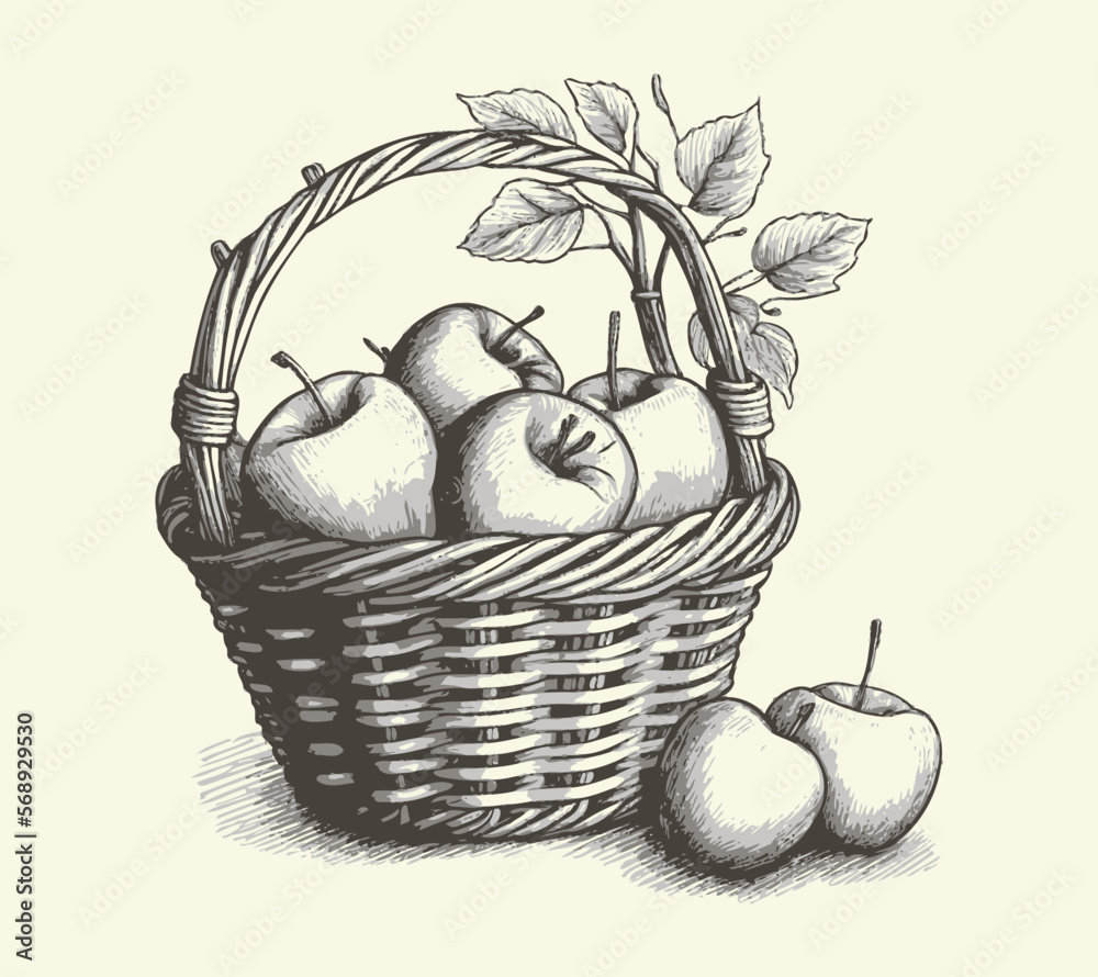 Fruit Basket Vector Art, Icons, and Graphics for Free Download-saigonsouth.com.vn