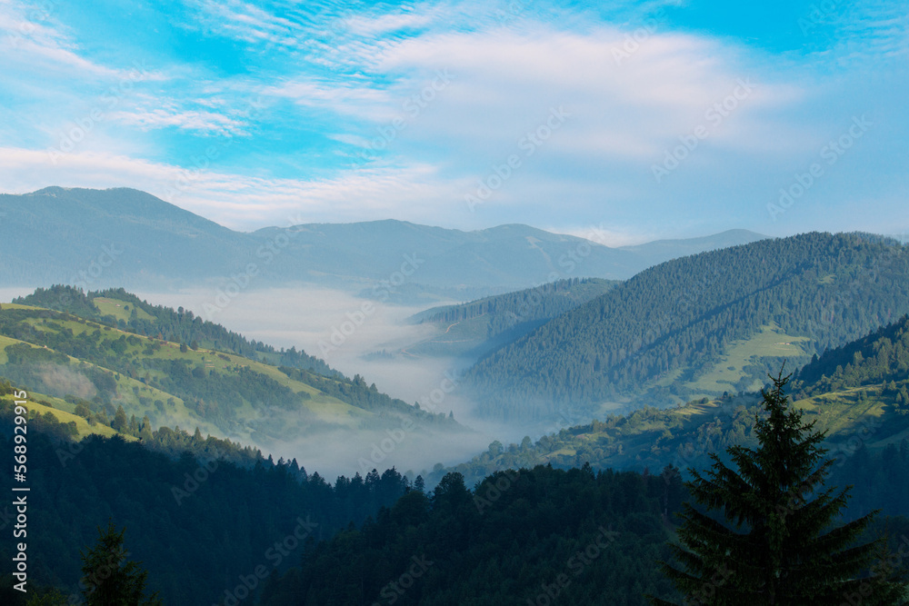 The view of the awakening Carpathian mountains, Ukraine. Morning fog in the valley between the mountains.
