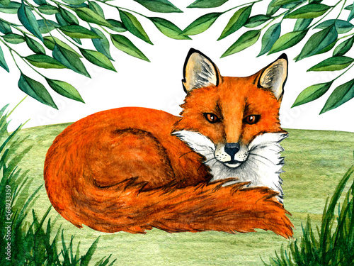 Watercolor wild forest animals: fox on forest lawn scene. Woodland hand-painted nature illustration for kids design, postcards, poster and print. Clip art for nursery design.