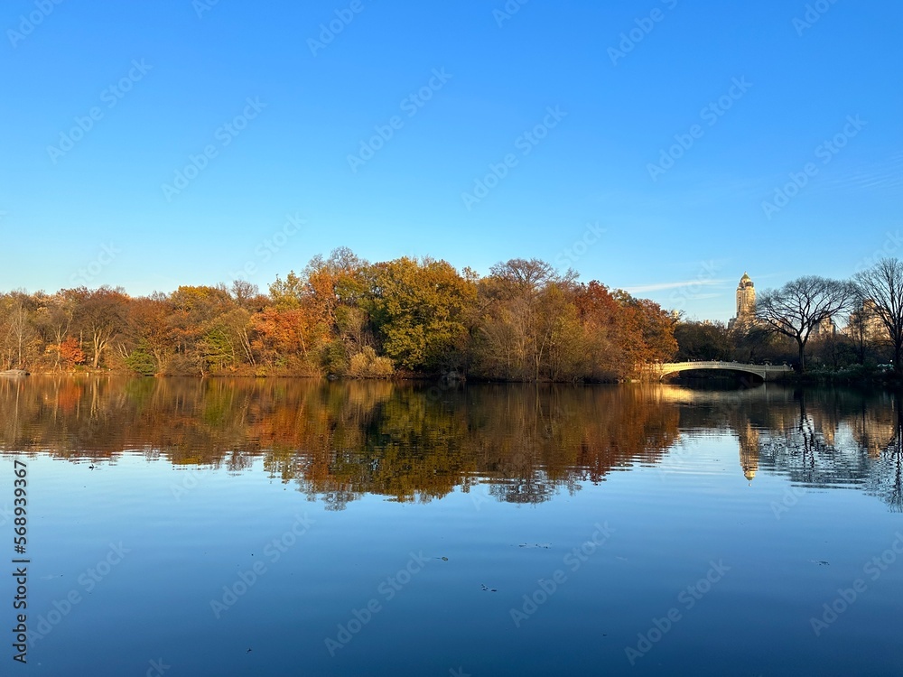 autumn in the park