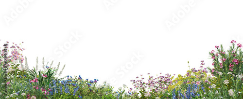 foreground flower gardens and meadows on a transparent background. © jomphon