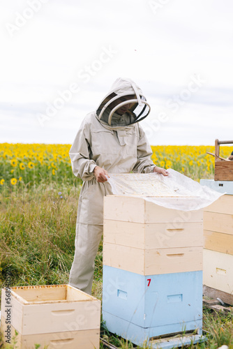 Apiary job preparation beehive  photo