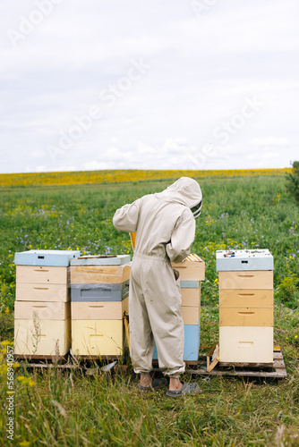 Beekeeper work apiculture hive 