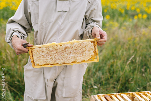 Honeycomb harvest apiculture