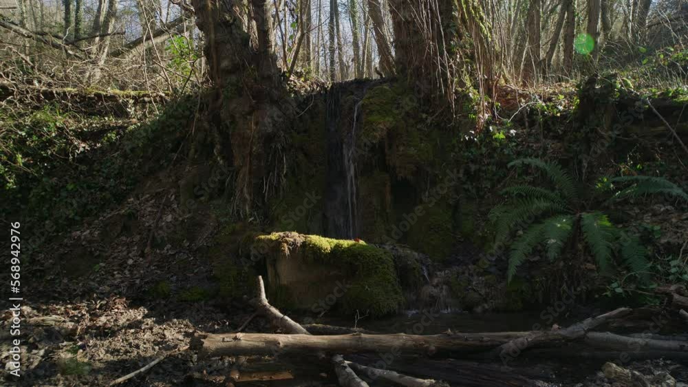 Cascade Cascade