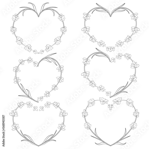 Set of vector heart of flowers of lavender. Isolated objects on white.
