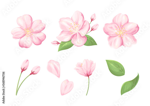 桜の花のイラスト素材, 桜の花や蕾や葉っぱのパーツセット, 白背景にベクター要素.