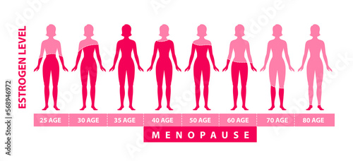 Estrogen harmone level. Graphic diagram with women body silhouette, harmone level and age data.
