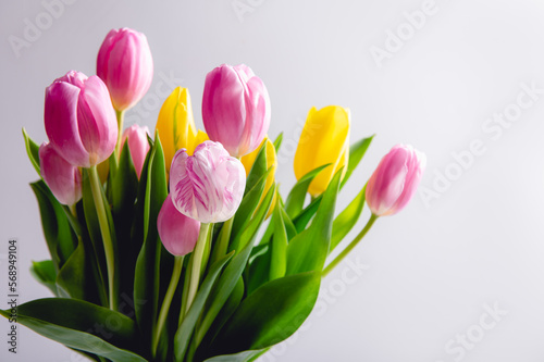 Beautiful bunch of different colors tulips on light background, spring holiday concept, copy space