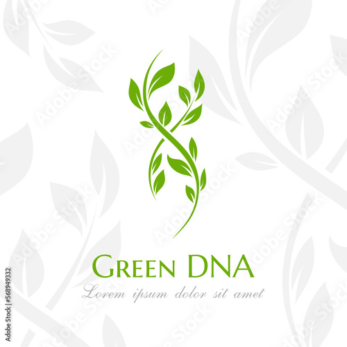 Dna spiral with green leaves. Vector illustration.