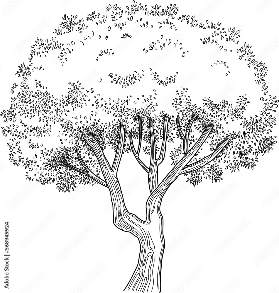 Plant tree forest icon outline, hand drawn vector. Garden drawing