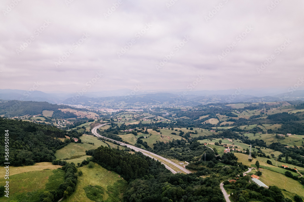 Fototapeta premium drone aerial images of a green winter forest with a small village and a bridge