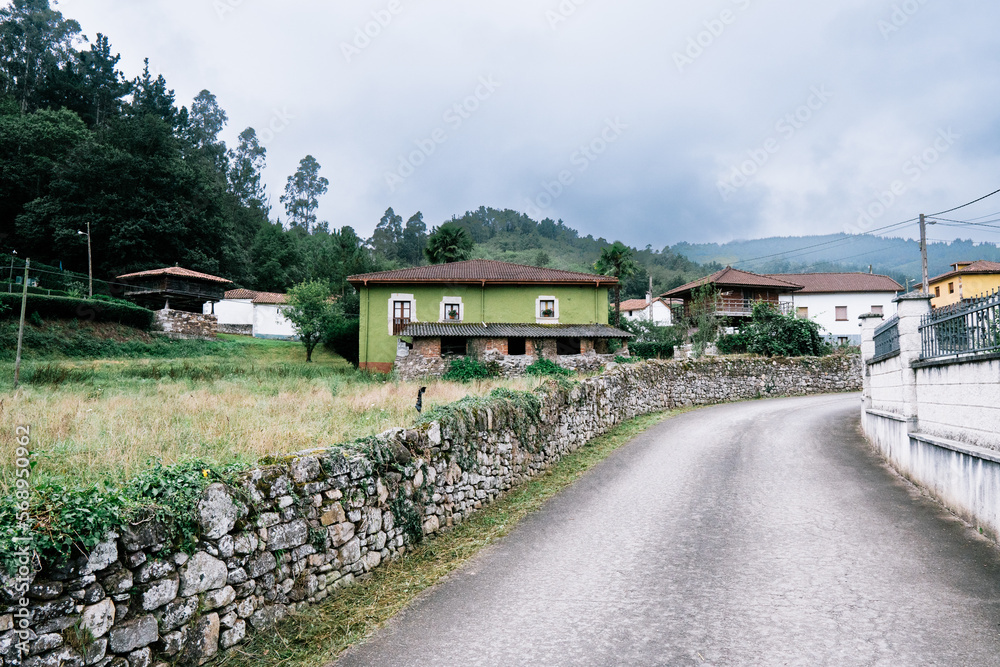 Fototapeta premium green house in the village 