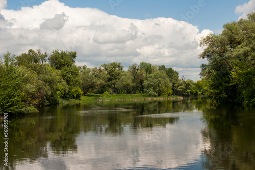 Summer landscape with forest river