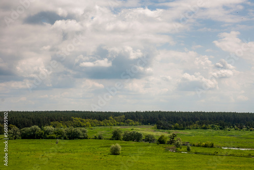 Summer landscape,green meadow with river, forest on horizon