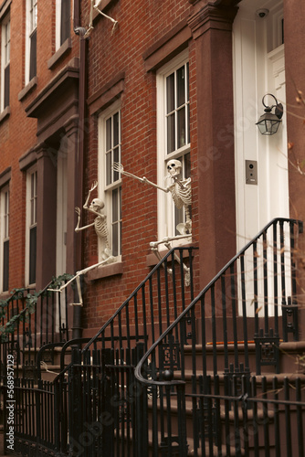 house with Halloween skeletons on white windows in Brooklyn Height district of New York City.