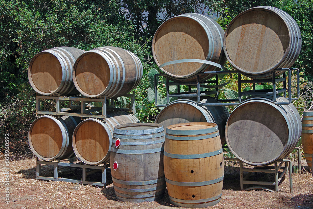 Old empty wine casks stacked outdoors of a winery Old empty wine casks stacked outdoors of a winery