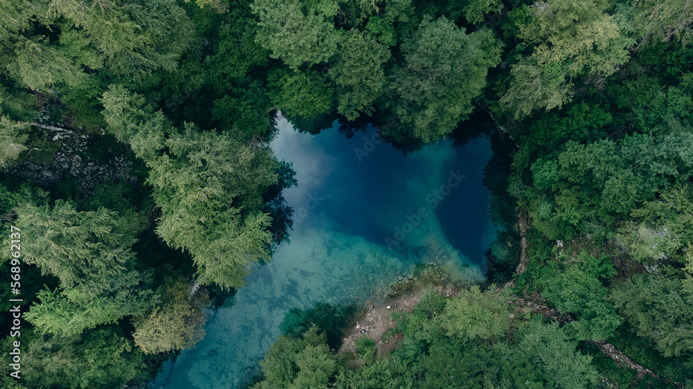 Source of the Kupa river in Croatia, Gorski Kotor. Tortoise water between green trees.
