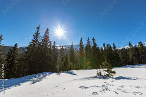Dragobrat, zima, góry