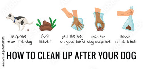 Dog poo clean up steps infographic set. Vector poster about hygiene animal, toilet cleaning information after your dog. Pick up poo after pets, picking waste in canine bag and throw in the trash