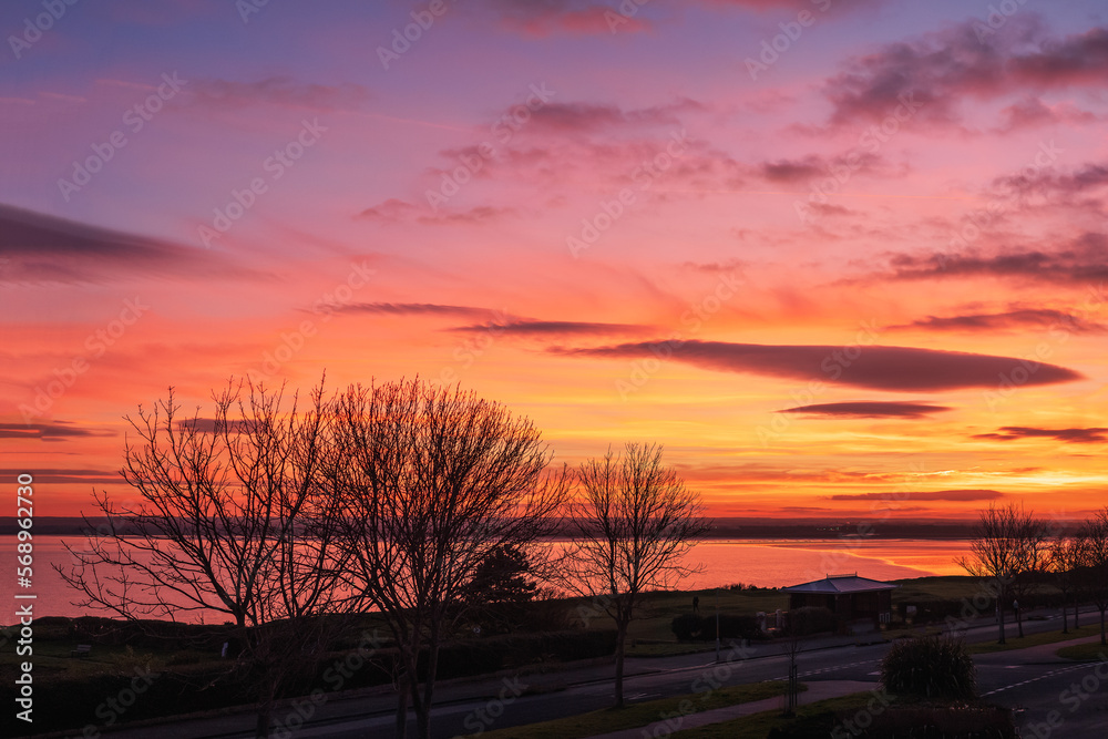 Fototapeta premium Beautiful clouds at sunset with winter trees along an esplanade. The golden light is reflected in the coastal bay.
