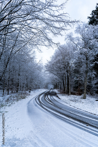 road in the winter
