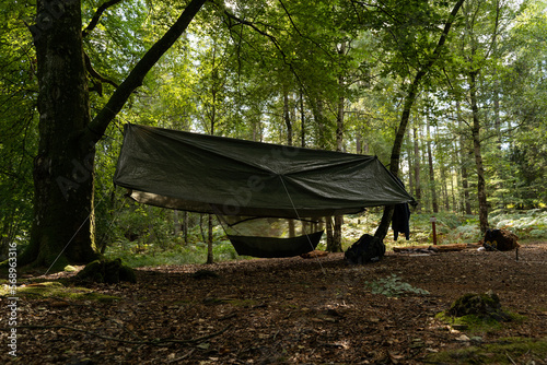 camping in the forest