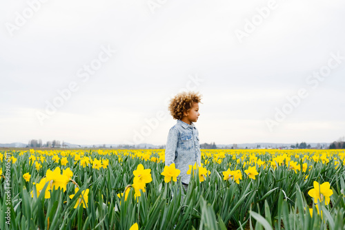 child playing in a daffodil field